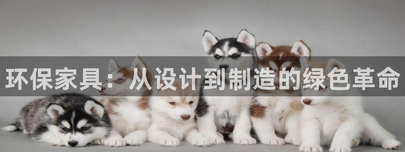杏宇平台测：环保家具：从设计到制造的绿色革命