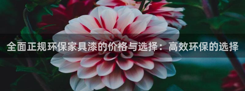 杏宇平台注册入口：全面正规环保家具漆的价格与选择：高效环保的