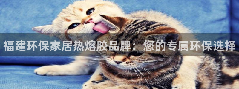 杏宇代理日工资多少：福建环保家居热熔胶品牌：您的专属环保选择