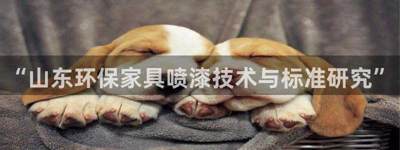 杏宇是什么平台