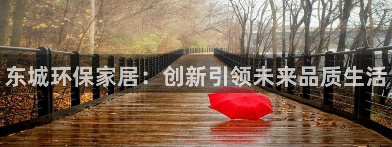 杏宇平台服务中心：东城环保家居：创新引领未来品质生活