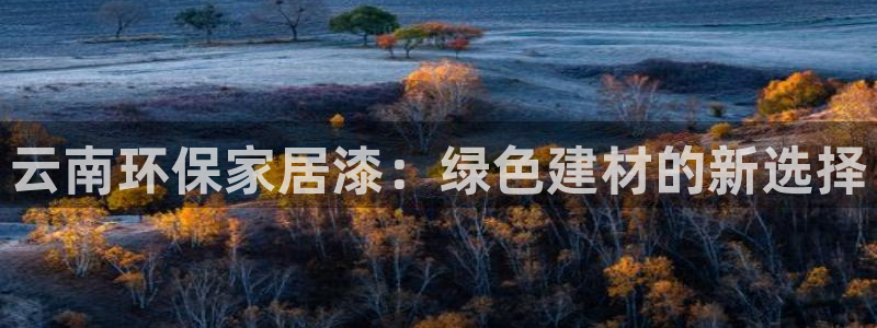 杏宇平台登录：云南环保家居漆：绿色建材的新选择
