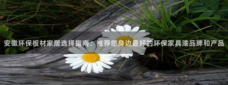 杏宇平台黑款：安徽环保板材家居选择指南：推荐您身边最好的环保