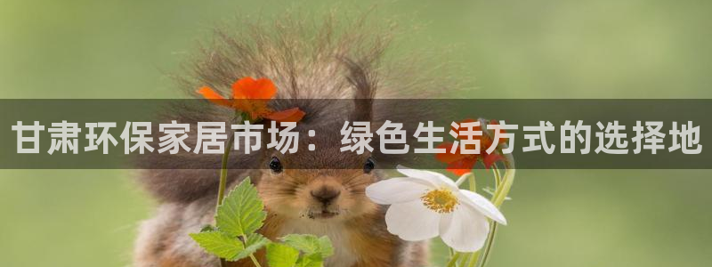 杏宇平台登录网址是什么：甘肃环保家居市场：绿色生活方式的选择