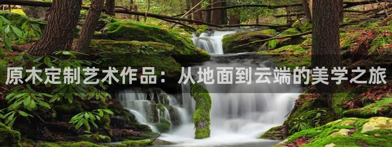 杏宇平台官方登录：原木定制艺术作品：从地面到云端的美学之旅