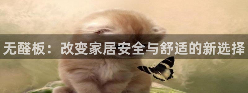 杏宇平台专用通道