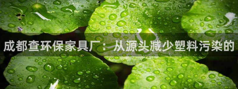 杏宇平台娱乐登陆：成都查环保家具厂：从源头减少塑料污染的