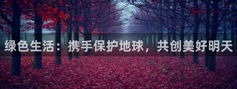 杏宇平台测速登陆